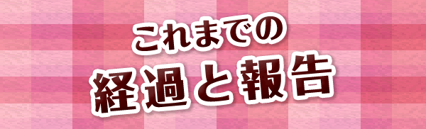 これまでの経過と報告