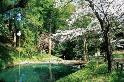 御滝神社の湧水画像