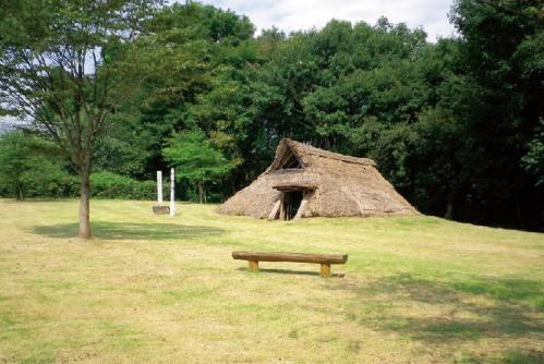 岩淵遺跡の画像