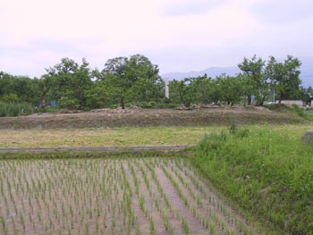 塚野目城跡の写真