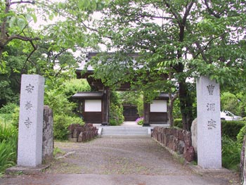 安養寺 一木造薬師如来坐像の写真