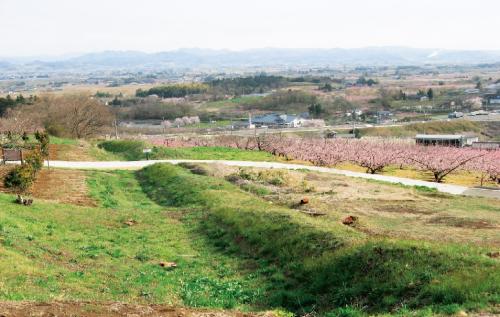 防塁4号北側の画像